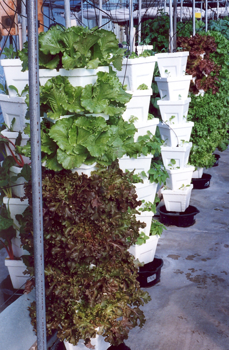 Tower Hydroponic Growing System