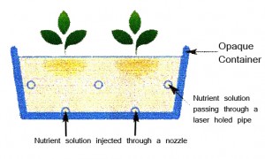 Aeroponic Hydroponic Growing System