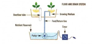 Flood-and-Drain Hydroponic Growing System