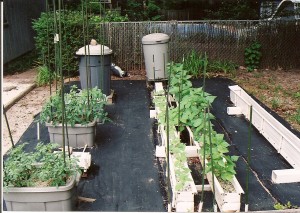 AquaNutrient Garden